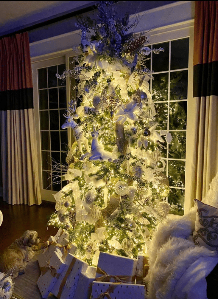Indoor Christmas tree decoration services
