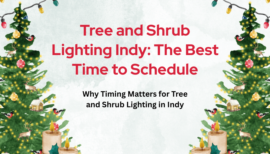Tree and Shrub Lighting Indy: The Best Time to Schedule
