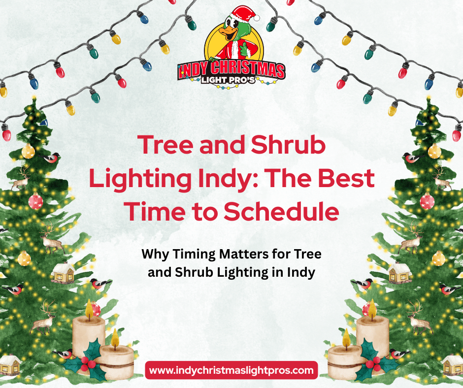 Tree and Shrub Lighting Indy: The Best Time to Schedule