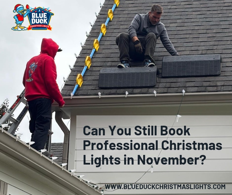 November Christmas light installation on an Indianapolis home featuring professionally illuminated rooflines, trees, and festive outdoor lighting.