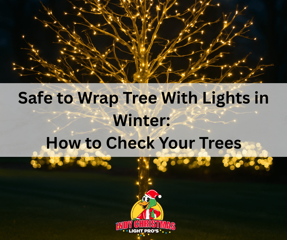 Safe to Wrap Tree With Lights in Winter: How To Check Your Trees