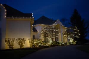 Greenery in Christmas Decor