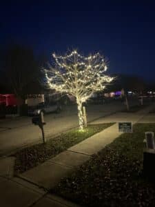 A beautifully lit tree wrapped in warm white Christmas lights installed by Indy Christmas Light Pros, showcasing outdoor tree lighting cost and design ideas in Indianapolis.