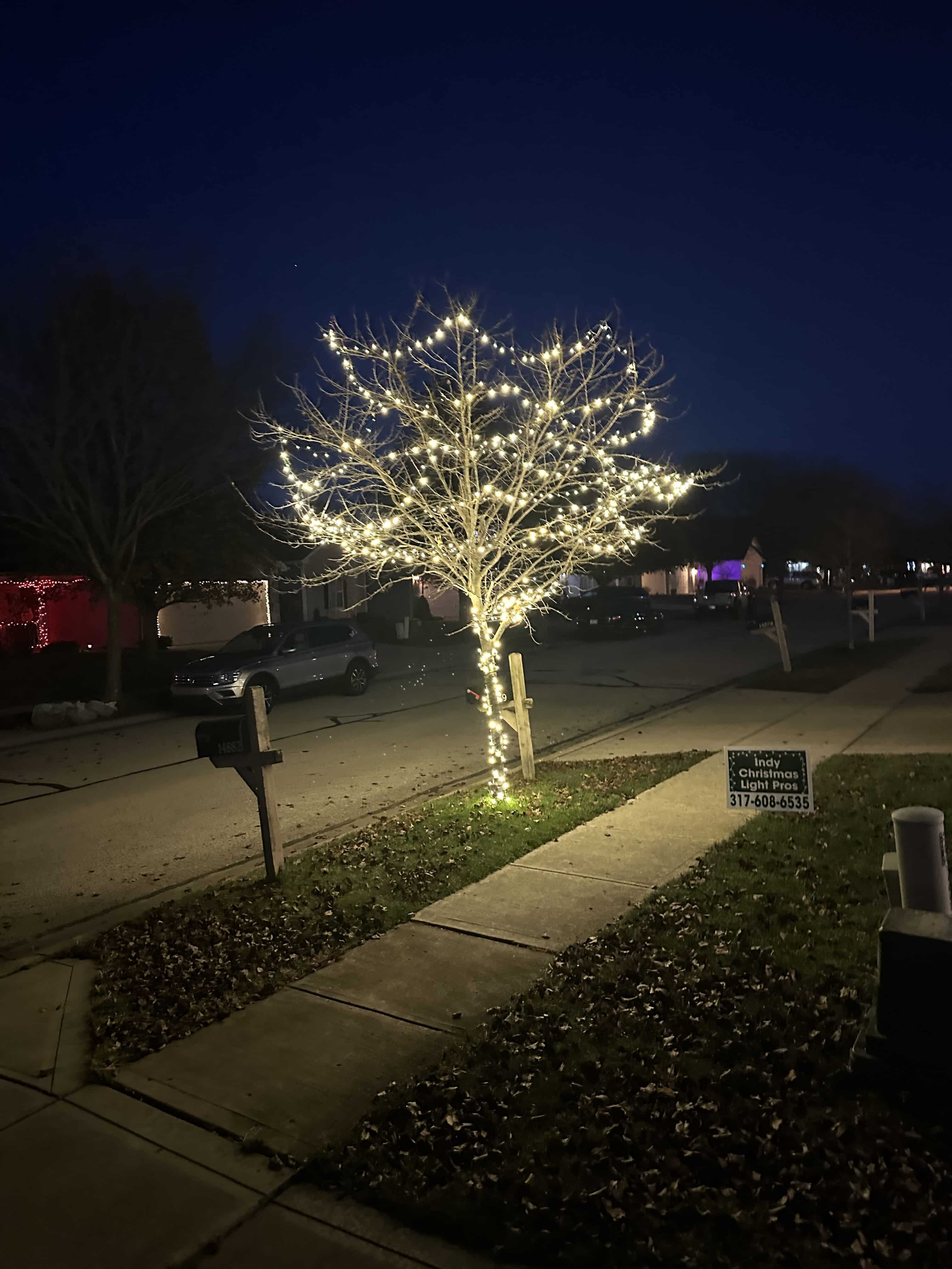 Outdoor Tree Lighting Cost: How Much to Budget This Christmas