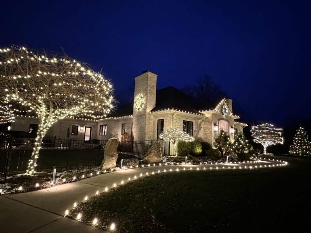 Mature trees wrapped in warm white Christmas lights outside a suburban home