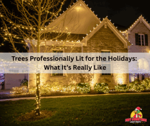 Beautiful home in Indianapolis with trees professionally lit for the holidays by Indy Christmas Light Pros