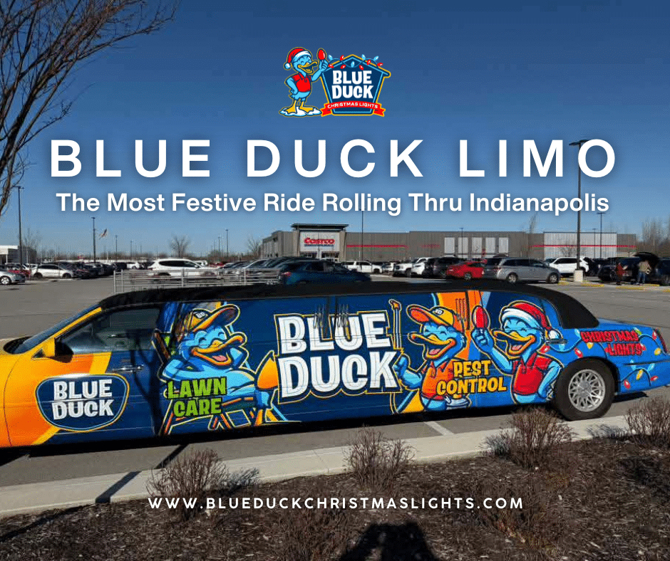 Blue Duck Limo showcases the brand's commitment to quality and creativity, reminding Indianapolis residents that professional Christmas lighting saves time and eliminates ladder work.