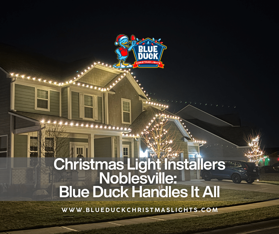 Christmas Light Installers Noblesville: Blue Duck Handles It All