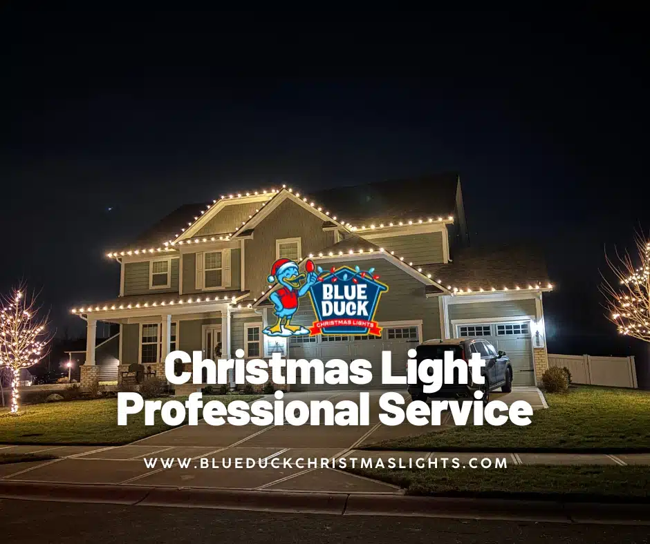 A Christmas light professional from Blue Duck installed this stunning display on a Fishers home, featuring exterior lighting, tree & shrub lighting, and Christmas wreaths.