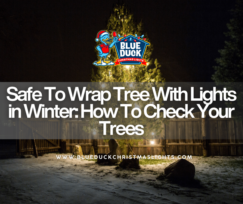Safe to Wrap Tree With Lights in Winter: How To Check Your Trees